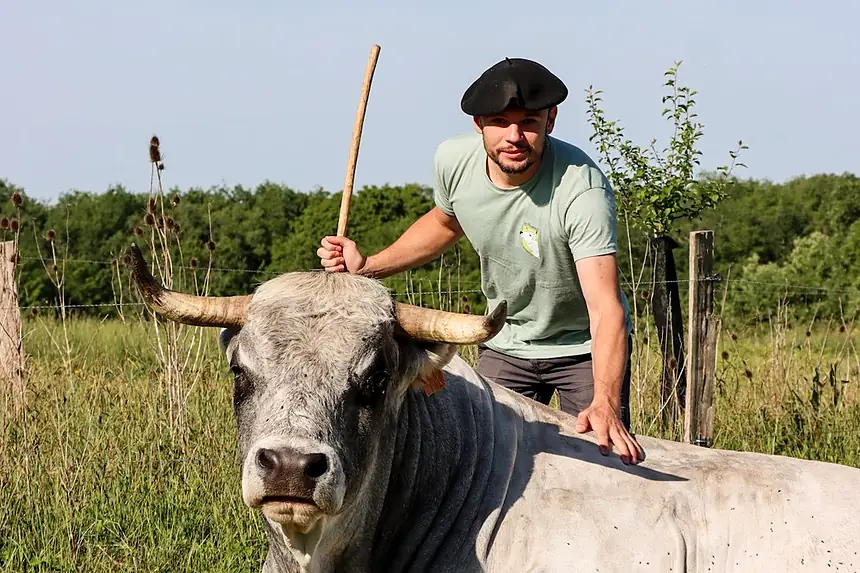 Un éleveur en béret, la main posée sur son taureau couché dans un pré